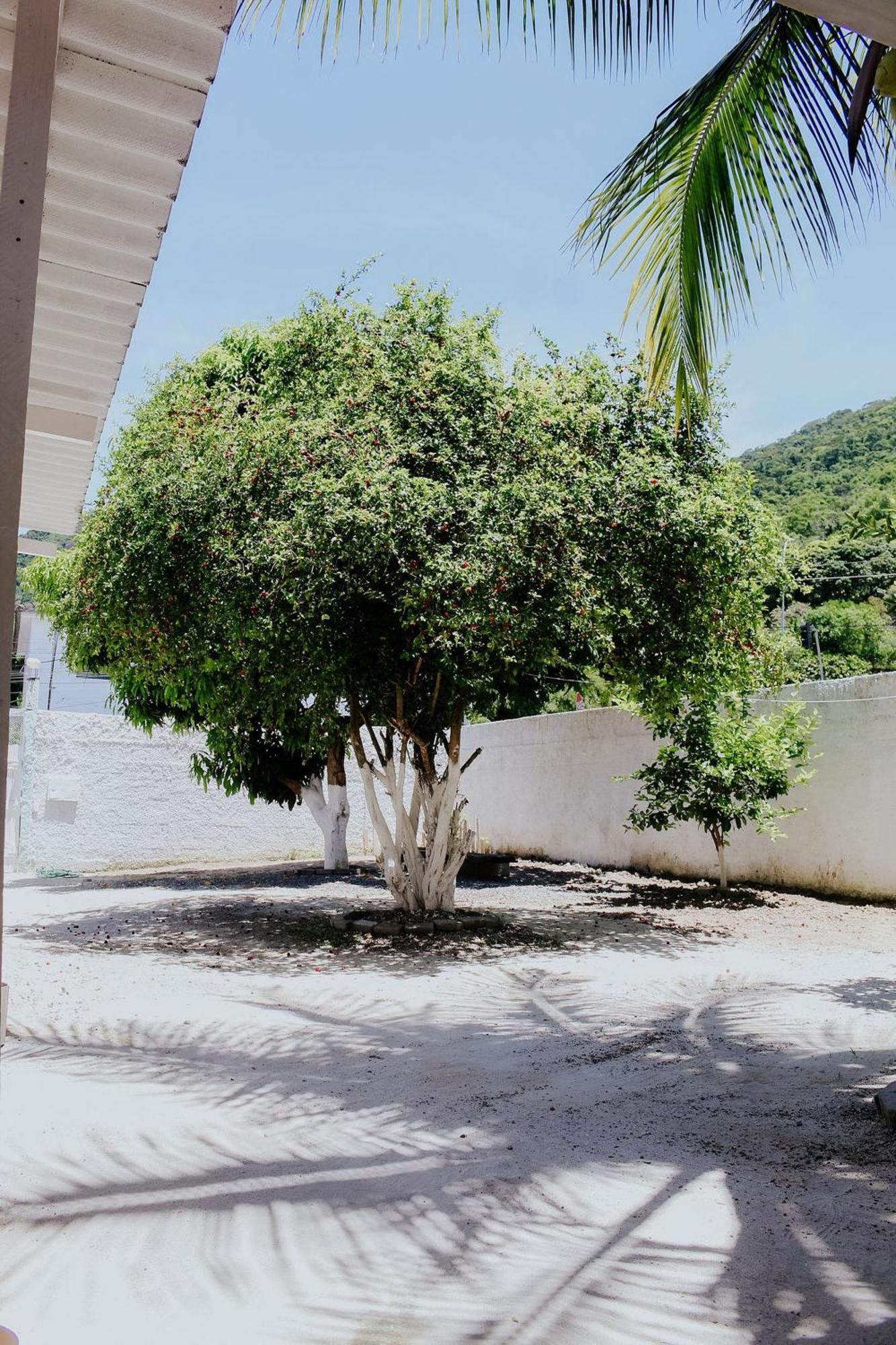 Seu Refugio Climatizado Em Niteroi *